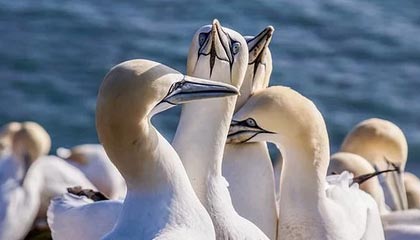 理性追星！奥纳纳推开想与他合影的球迷，但被另一人丢水瓶