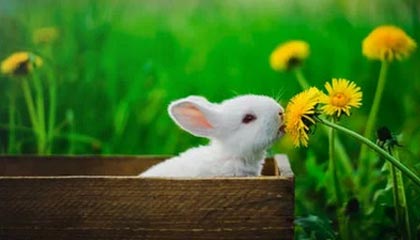 曼联主教练阿莫林下课 此前炮轰俱乐部